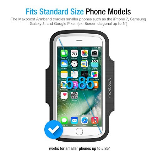 iPhone 6s A9